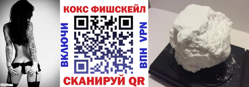 Кокаин FishScale  где купить наркоту  Буй 
