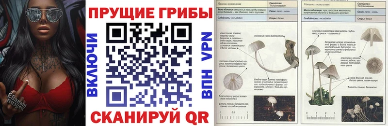 Галлюциногенные грибы ЛСД  mega как войти  Буй  купить наркоту 